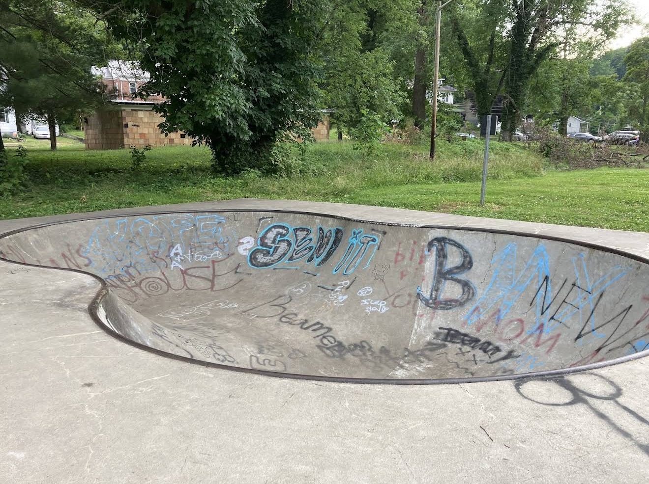 Pomeroy Skate Park photo 4
