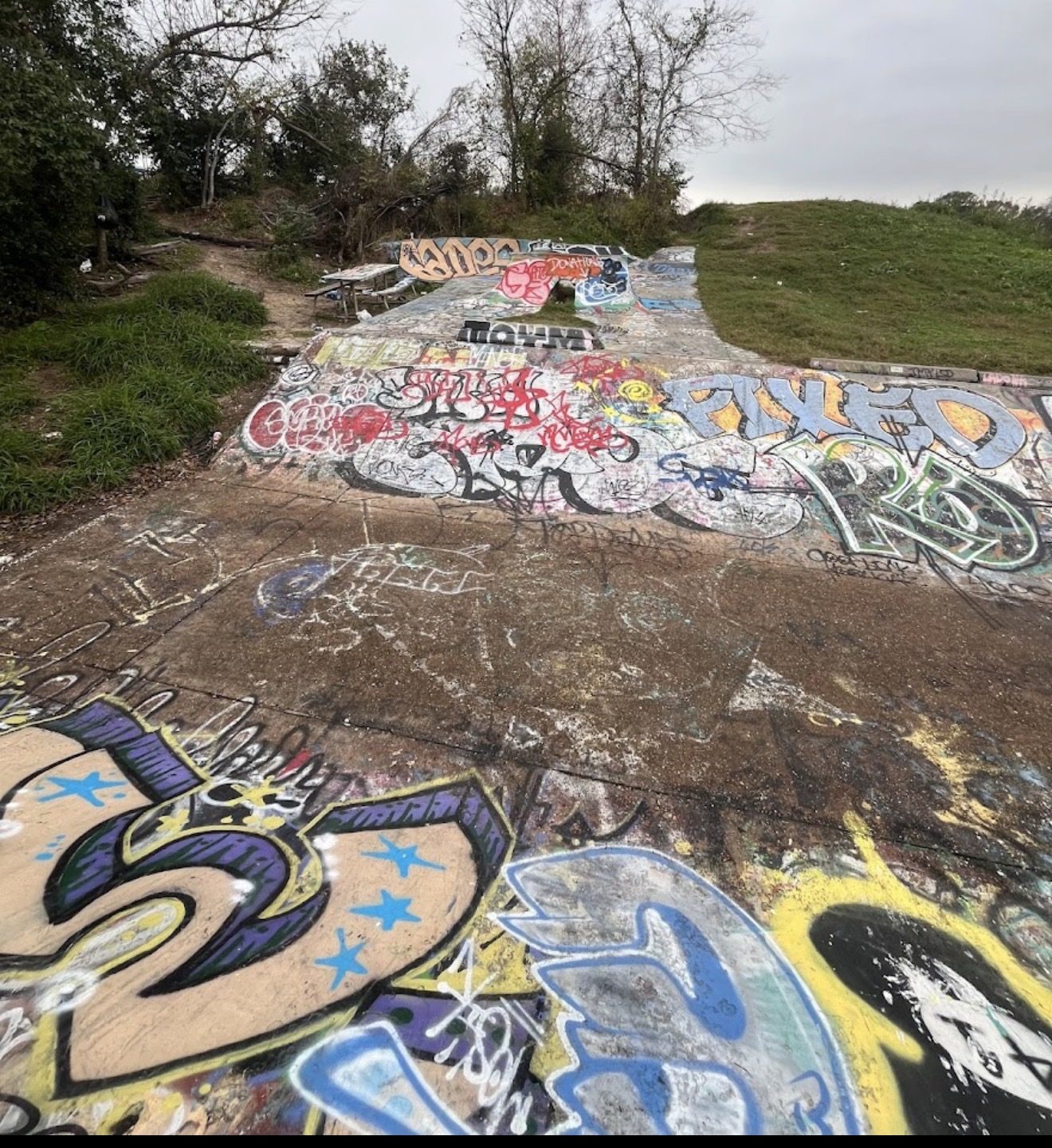Ez-7 skate Park and Ditch photo 2