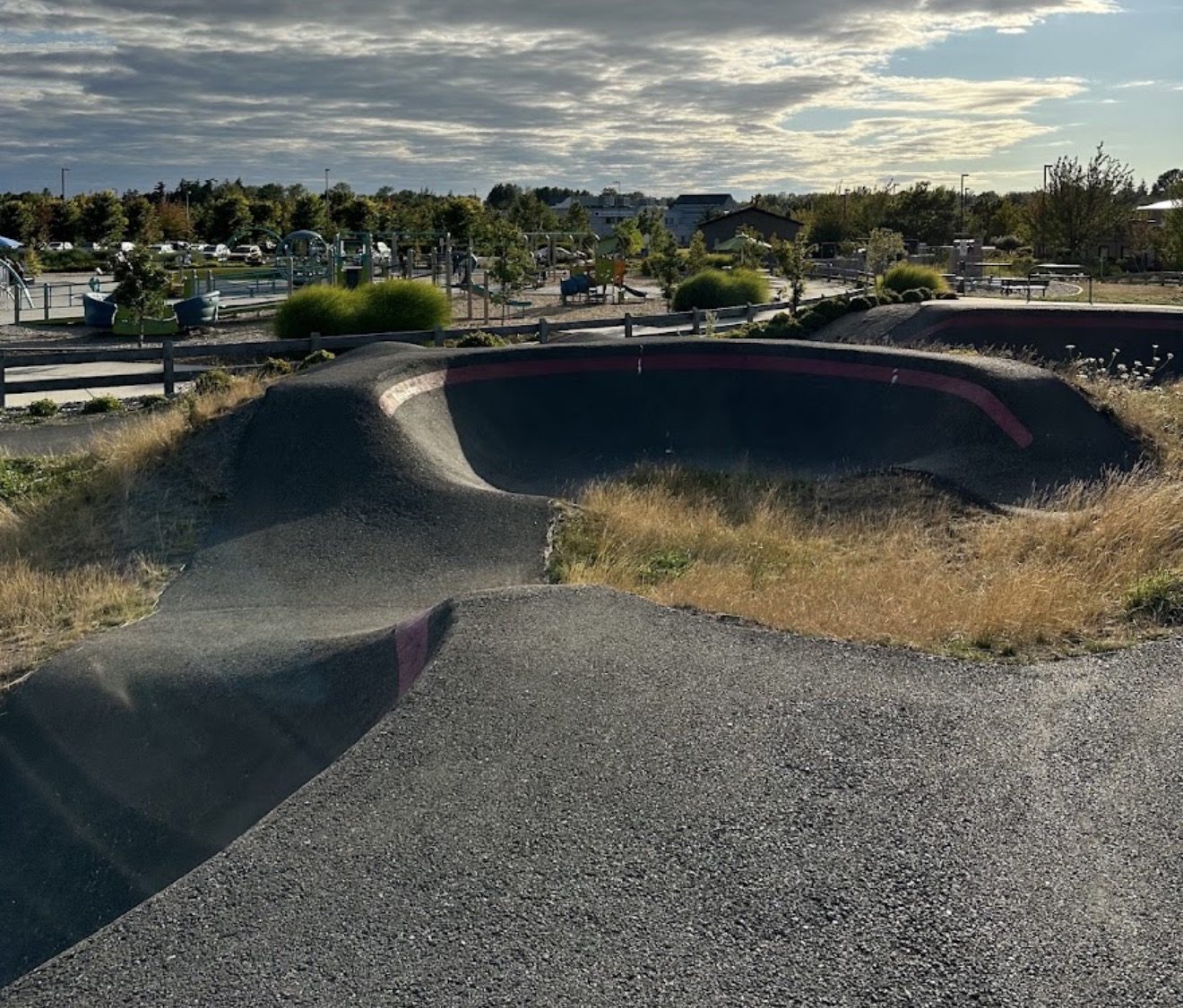 Cordata Pump Track photo 4